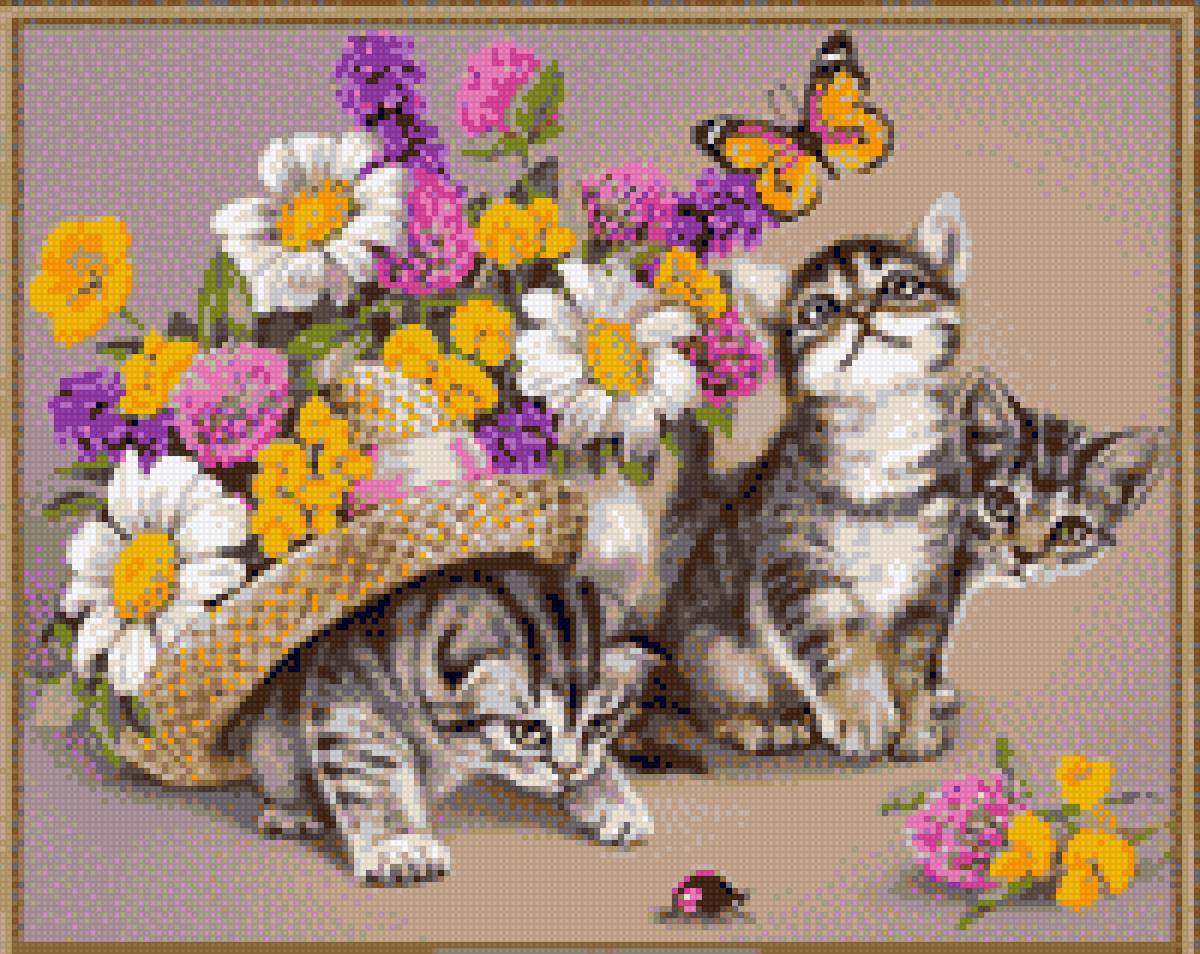 Котята - схема - предпросмотр