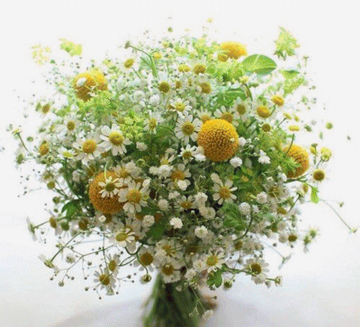 ПОЛЕВЫЕ ЦВЕТЫ - полевые цветы - предпросмотр