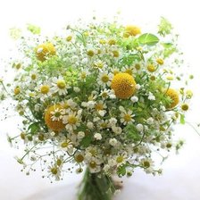 Схема вышивки «ПОЛЕВЫЕ ЦВЕТЫ»