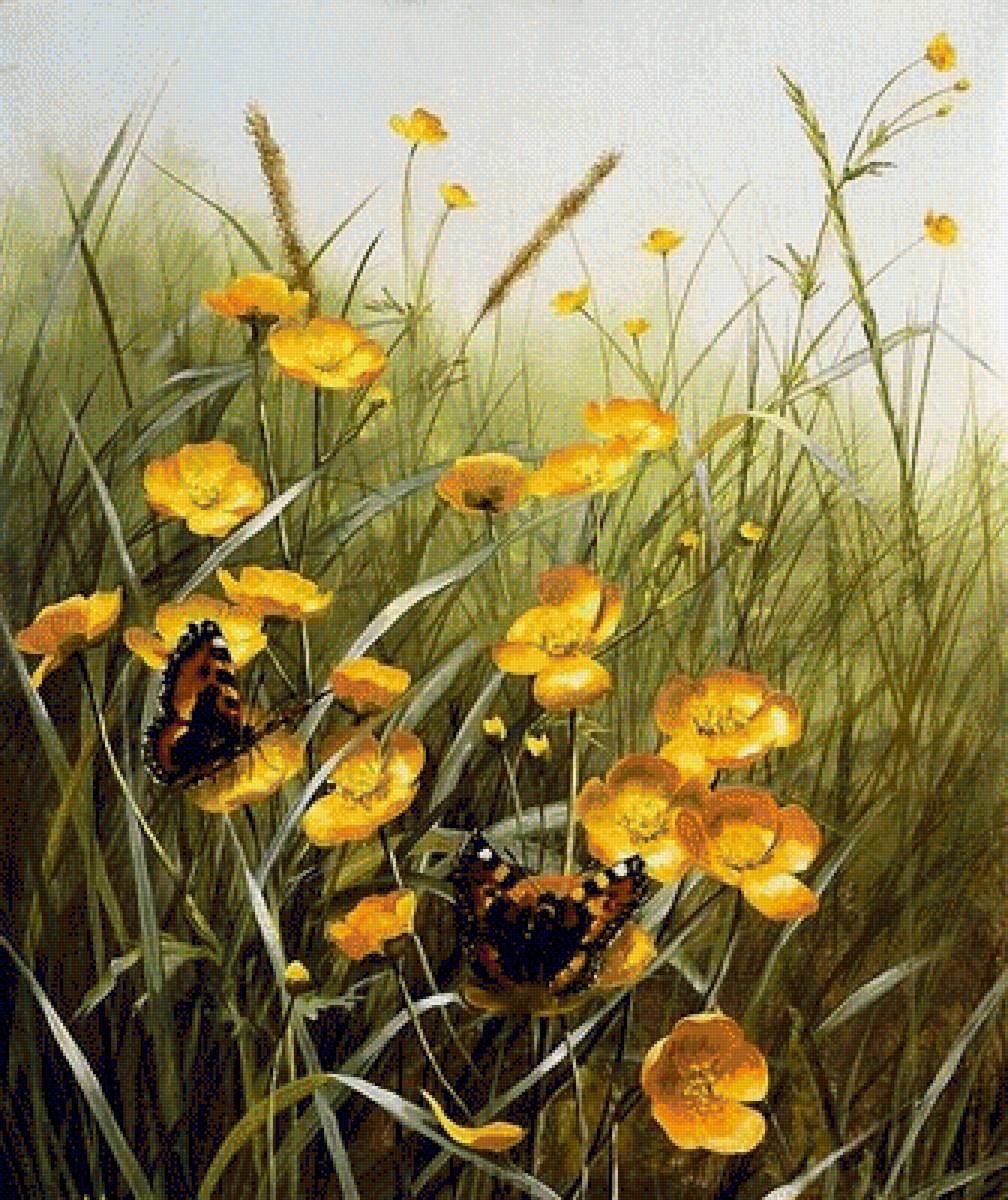 ПОЛЕВЫЕ ЦВЕТЫ - полевые цветы, пейзаж - предпросмотр