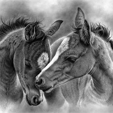 Схема вышивки «лошадки»