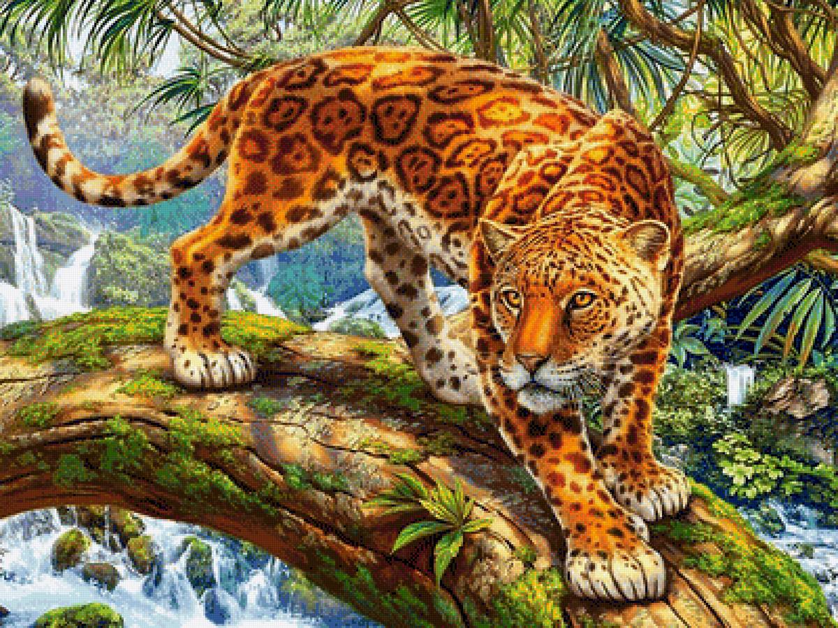 Ягуар у водопада - лес, водопад, животные, ягуар, природа, рисунок - предпросмотр