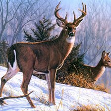 Схема вышивки «Олени»