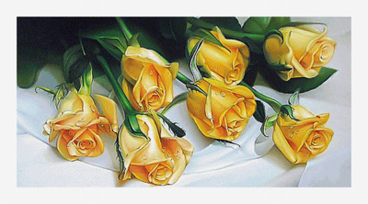 Серия "Розы". - розы, цветы, флора - предпросмотр