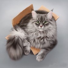 Схема вышивки «Котик»