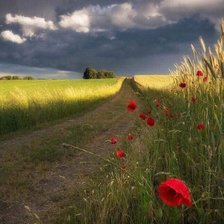 Схема вышивки «дорога»