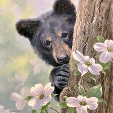 Схема вышивки «Медвежонок»