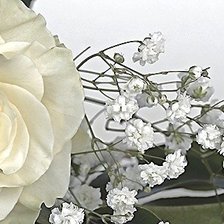 Схема вышивки «роза»