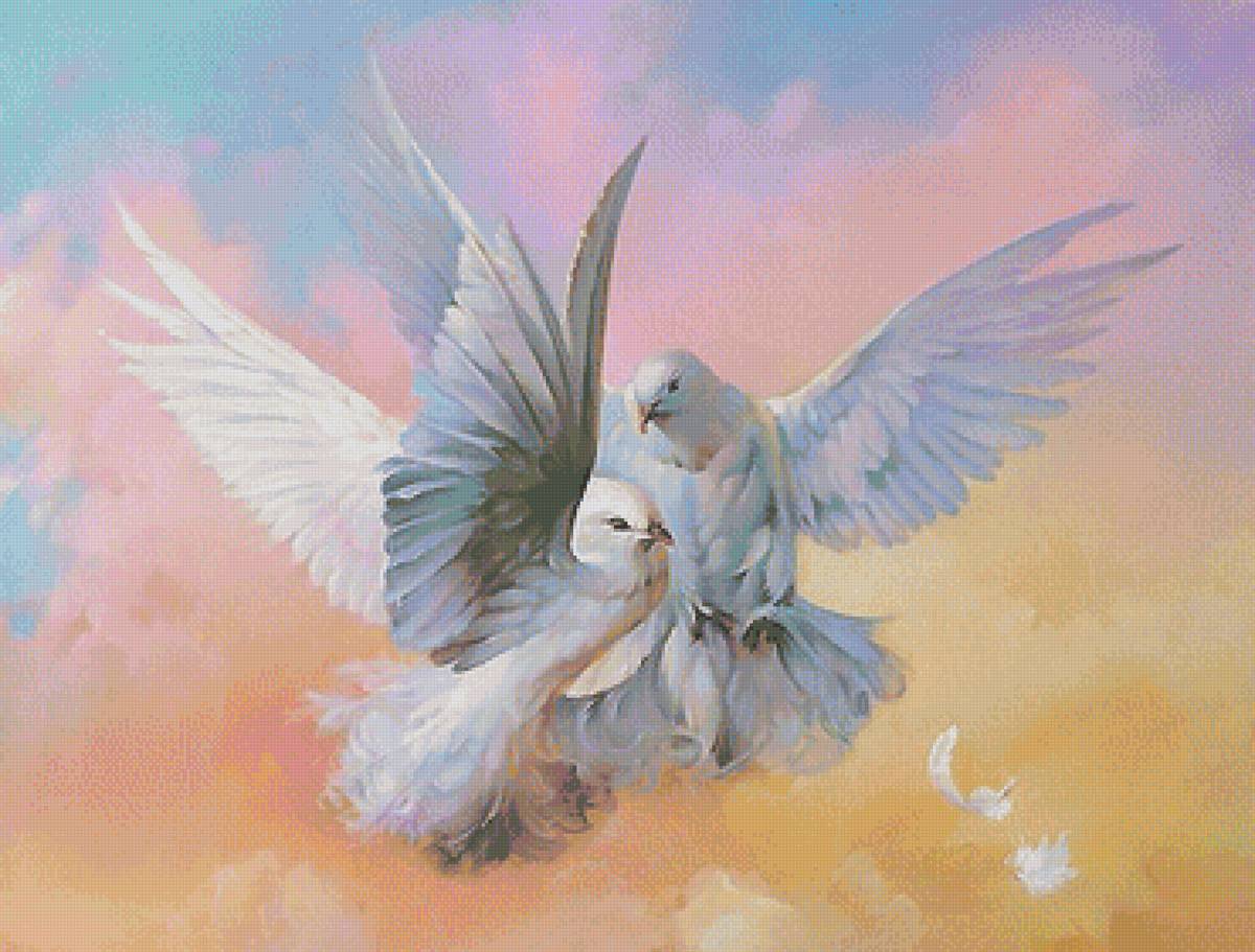 голуби - предпросмотр