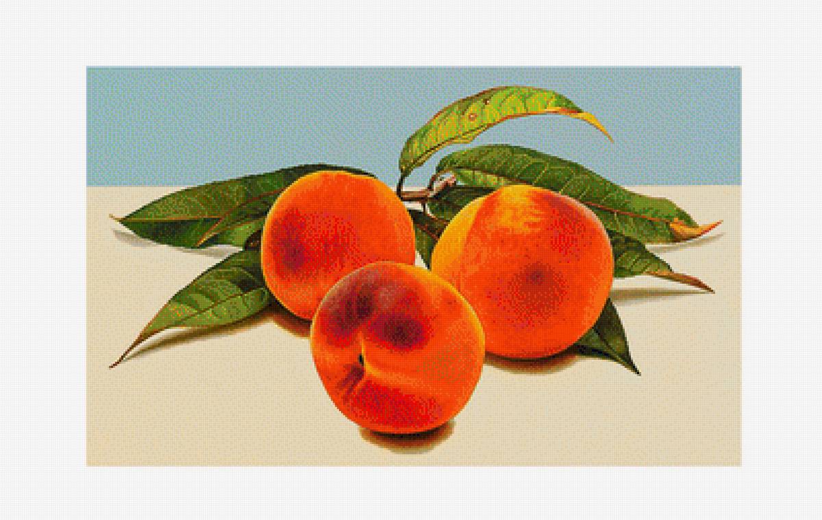 №1899340 - живопись., фрукты - предпросмотр