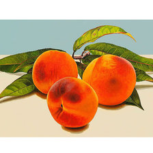 Схема вышивки «№1899340»