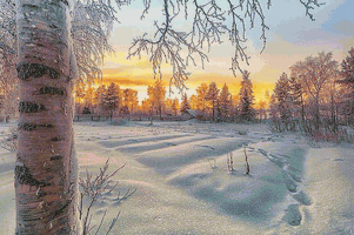 №1899427 - снег, лес, природа, пейзаж зима - предпросмотр