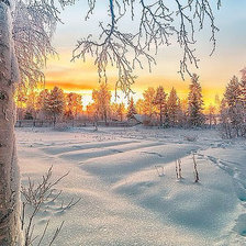 Схема вышивки «№1899427»