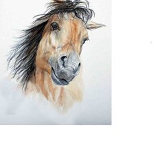 Схема вышивки «Влюблённая лошадь /размер 207 х 290 крестиков/»