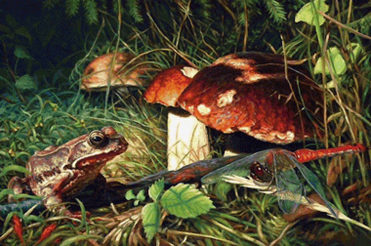 ГРИБЫ - предпросмотр