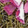 Предпросмотр схемы вышивки «№1899586»