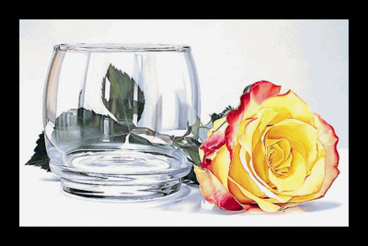 Серия "Розы". - флора, розы, цветы - предпросмотр