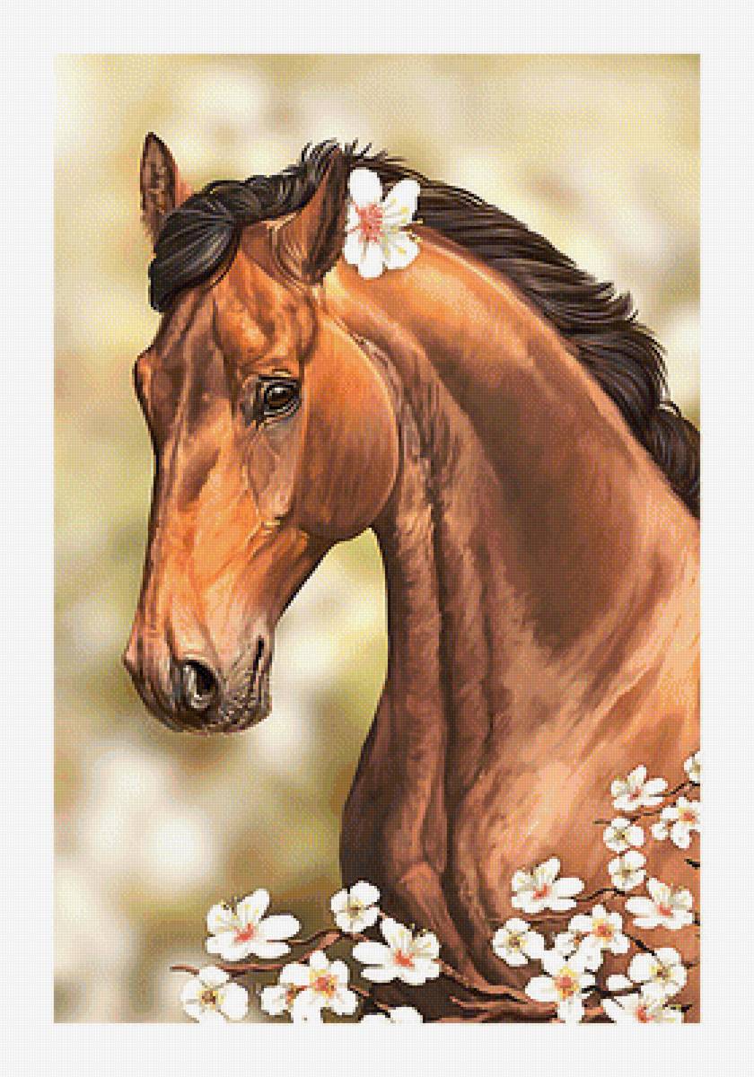 Серия "Кони" - кони, животные - предпросмотр