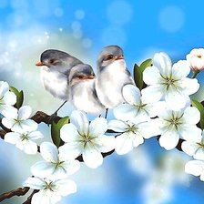 Схема вышивки «№1899950»