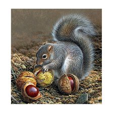 Схема вышивки «Белочка»