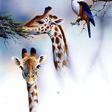 Схема вышивки «№1900120»