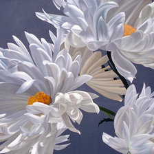 Схема вышивки «№1900248»