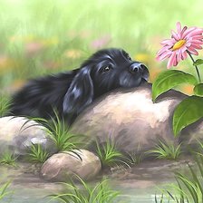 Схема вышивки «№1900404»