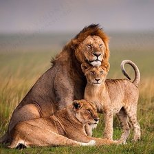 Схема вышивки «489»