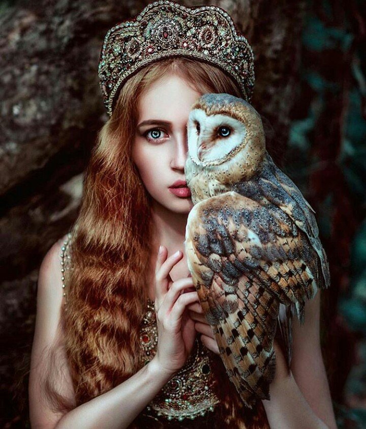 Девушка и сова - девушка и сова - оригинал