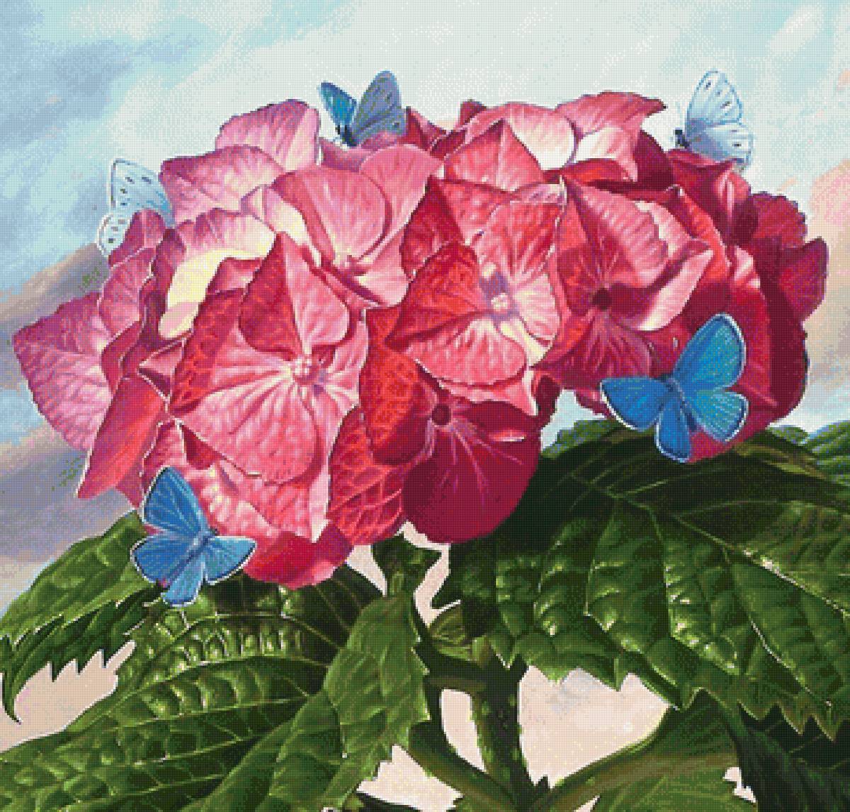 №1900986 - предпросмотр