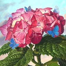 Схема вышивки «№1900986»