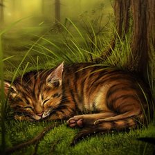 Схема вышивки «Котик»