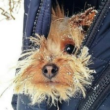 Схема вышивки «тим»