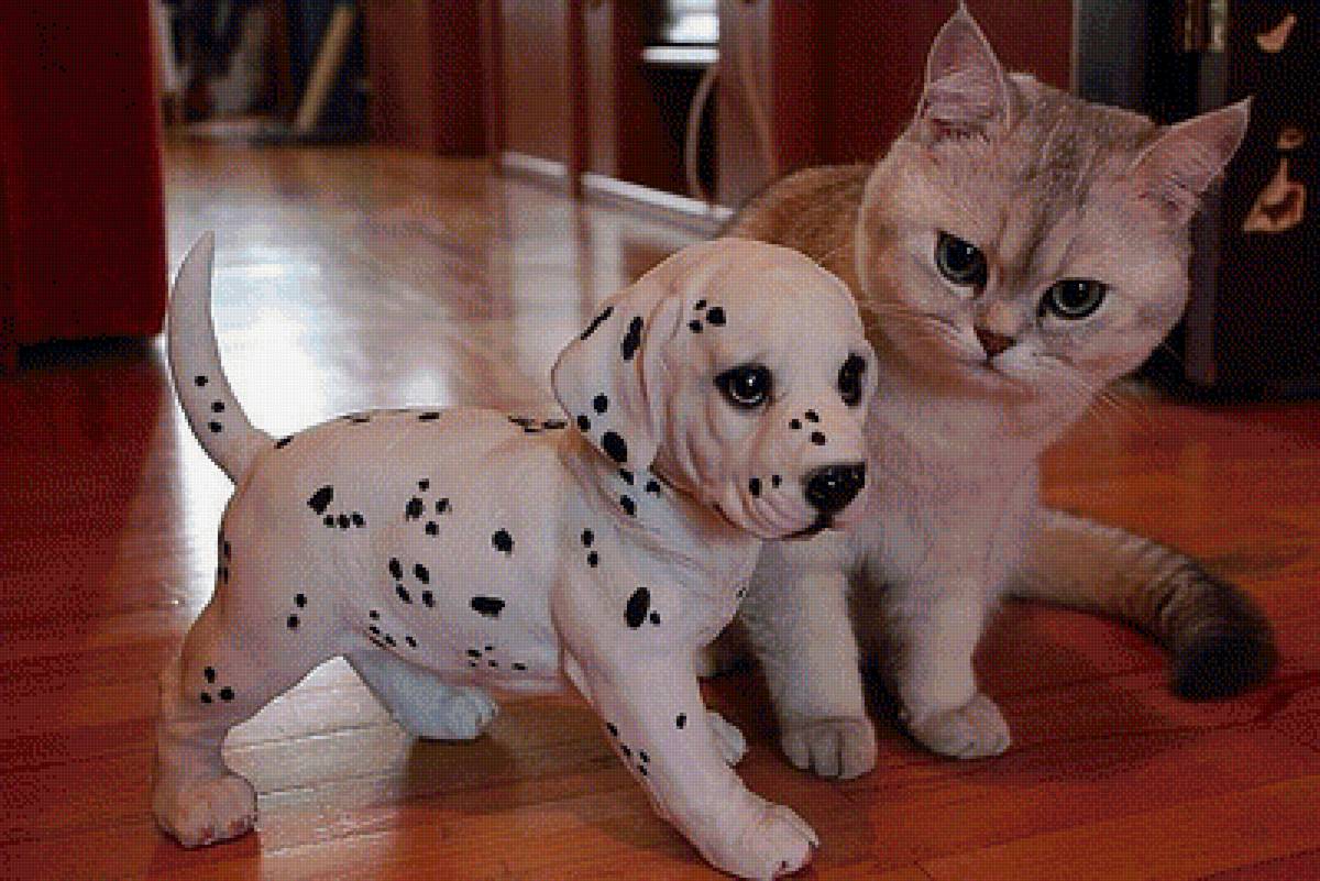 493 - предпросмотр