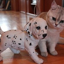 Схема вышивки «493»