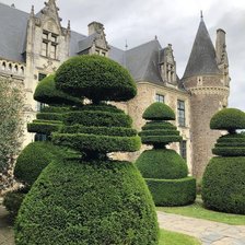 Схема вышивки «495»