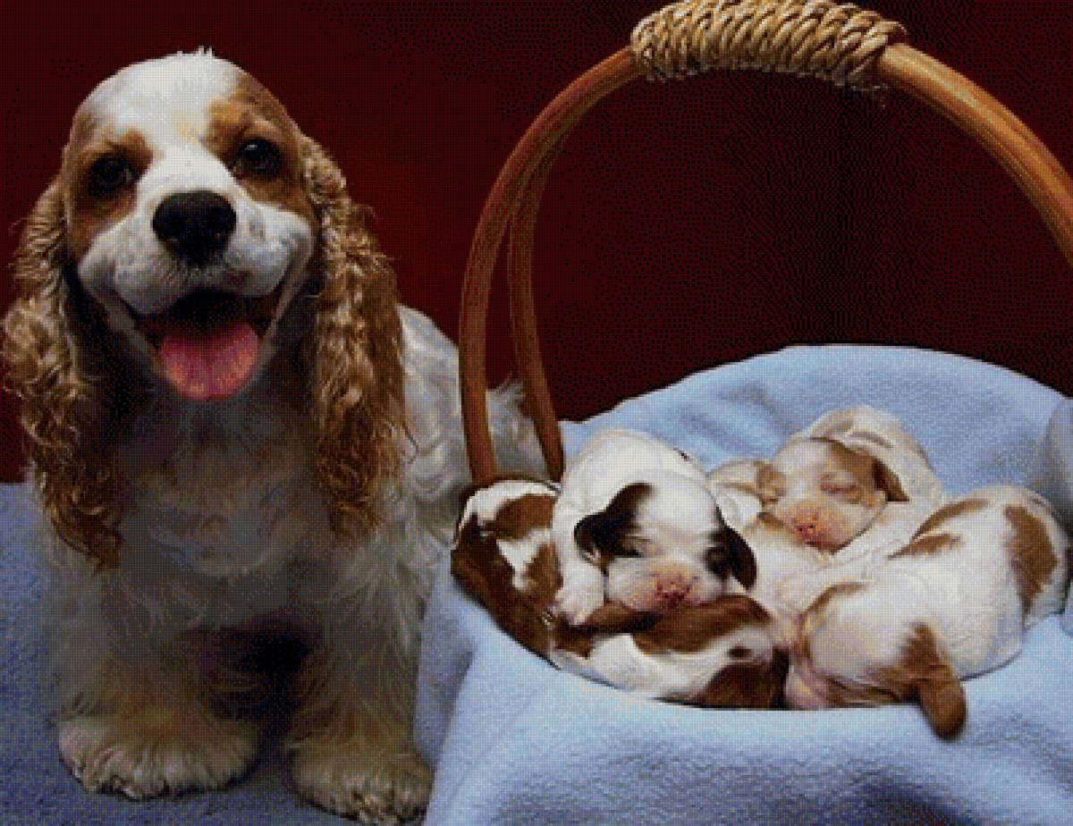 496 - предпросмотр