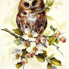 Схема вышивки «Совёнок»