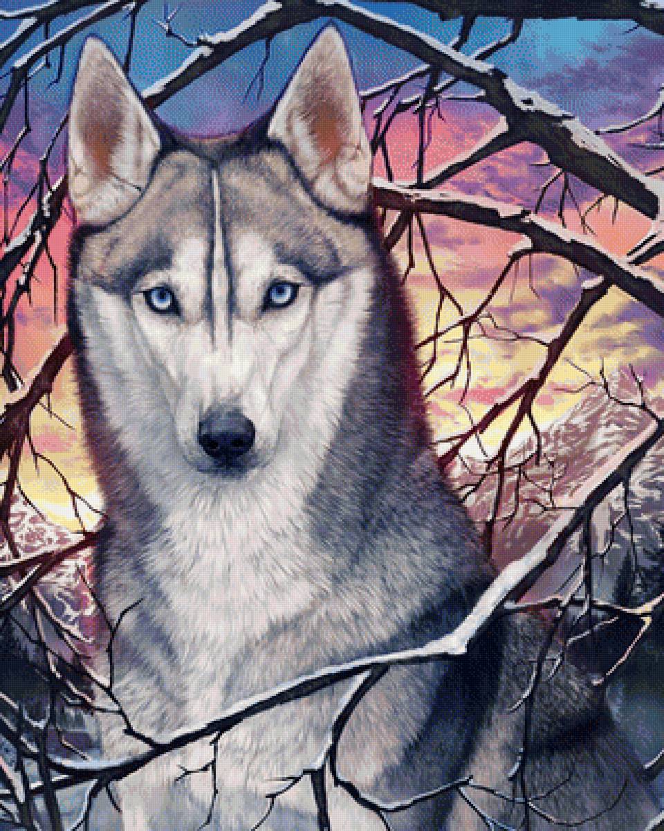 Волк - животные, зима, рисунок, волк - предпросмотр