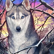 Схема вышивки «Волк»