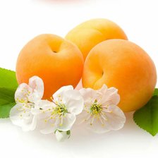 Схема вышивки «Абрикосы»