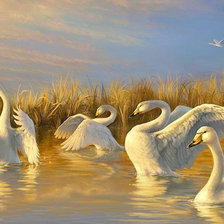 Схема вышивки «Лебединое озеро»