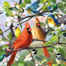 Схема вышивки «Птички»