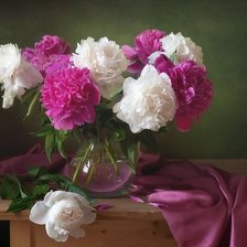 Схема вышивки «Пионы»