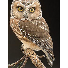 Схема вышивки «Серия "Совы"»
