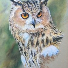 Схема вышивки «Сова»