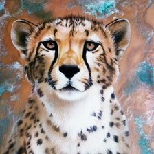 Схема вышивки «Гепард»