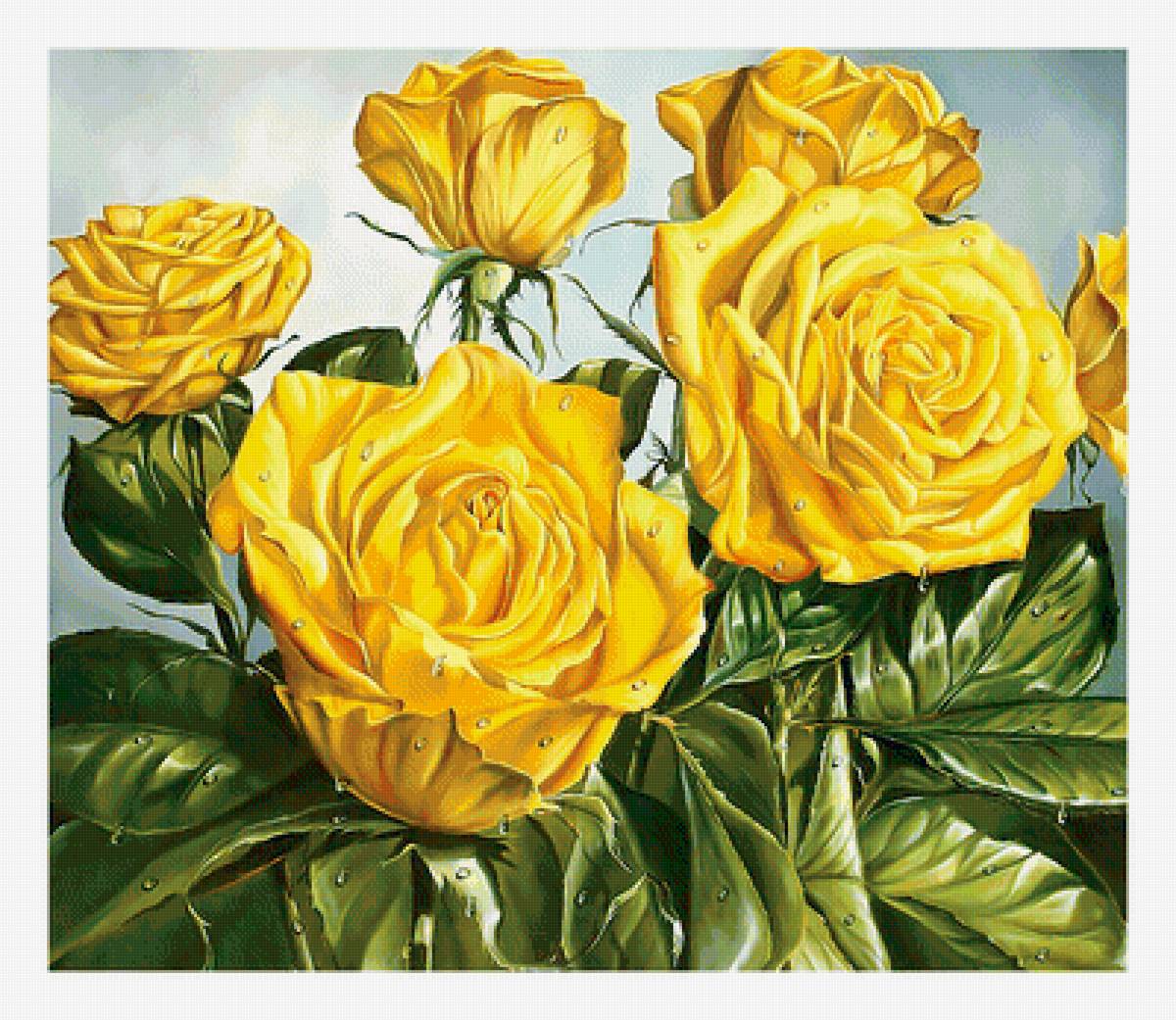 Серия "Розы". - розы, флора, цветы - предпросмотр