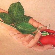 Схема вышивки «рисунок»