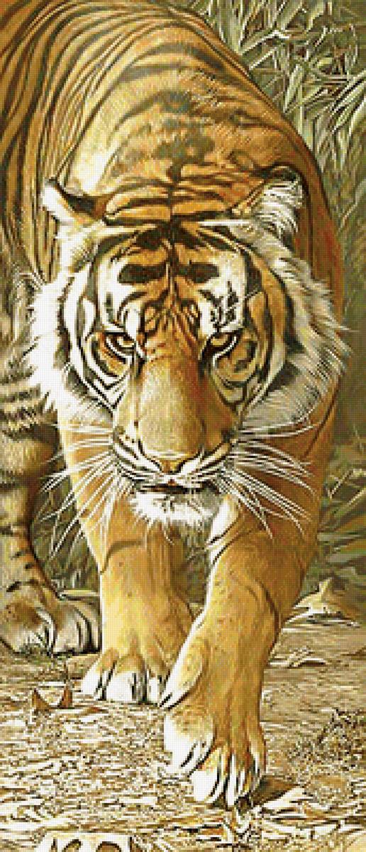 Серия "Хищники". - хищники, животные - предпросмотр